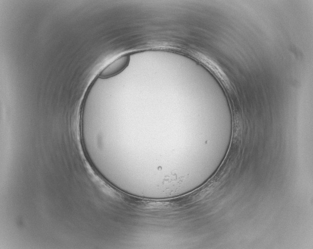 X0000116391439200912231101