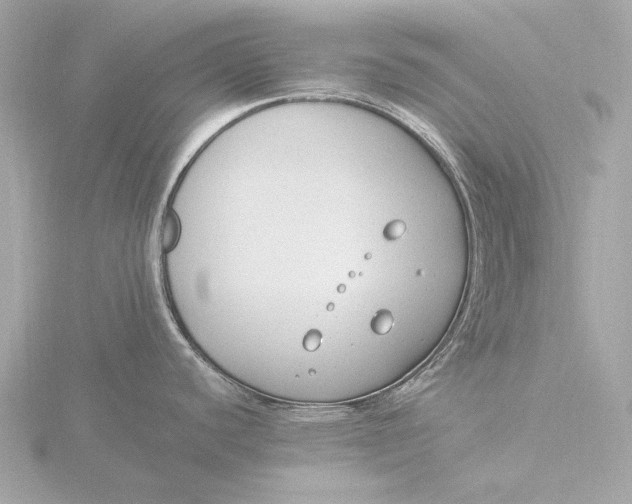 X0000116391440200912231101