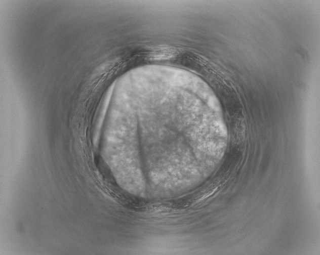 X0000116391441200912231100