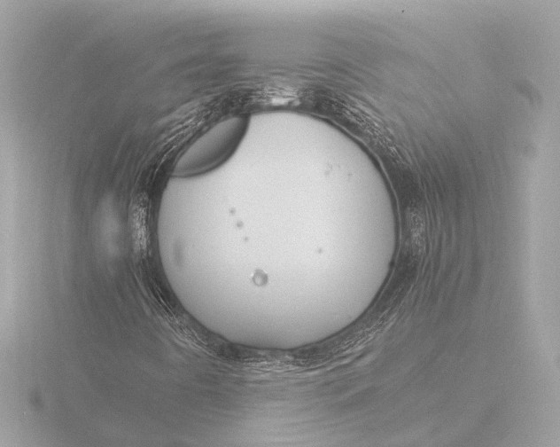 X0000116391442200912231100