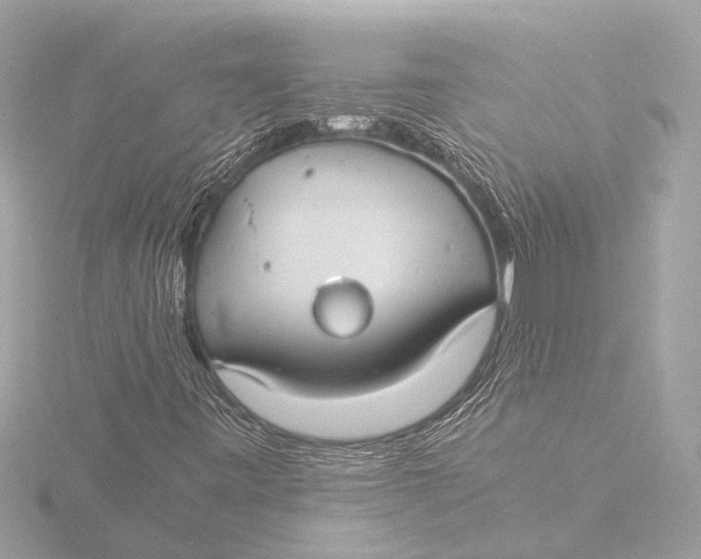 X0000116391443200912231100