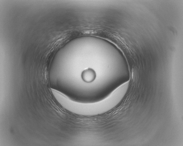 X0000116391444200912231100