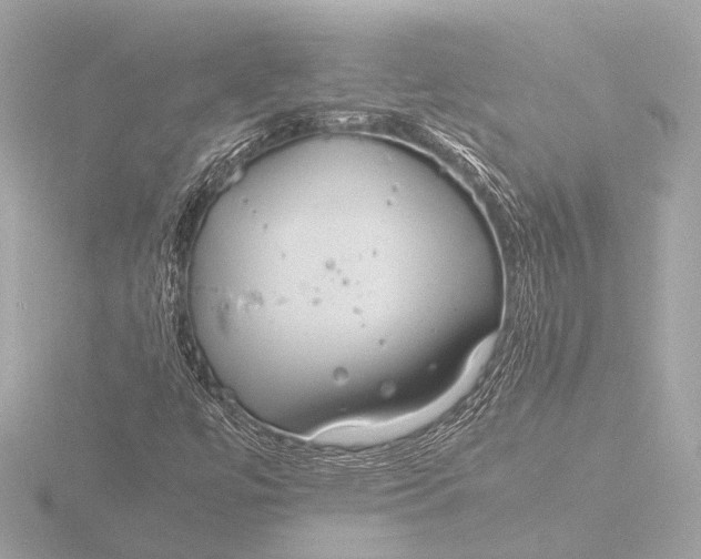 X0000116391447200912231100