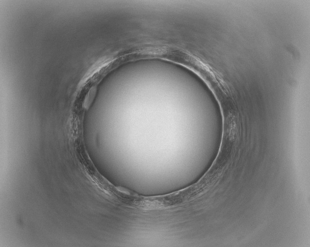 X0000116391448200912231100