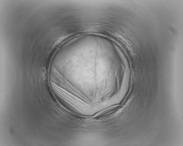 X0000116391449200912231100