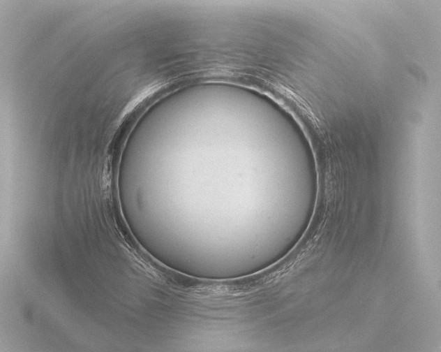 X0000116391450200912231100