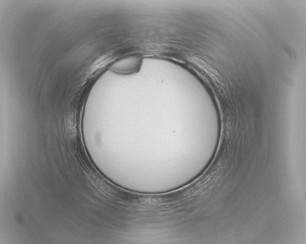 X0000116391451200912231100