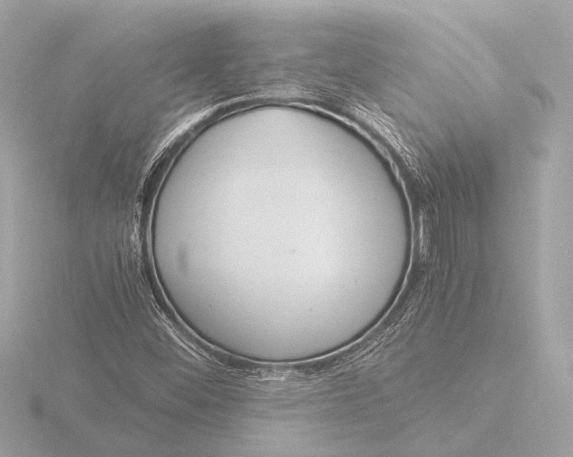 X0000116391452200912231100