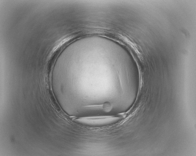 X0000116391453200912231100