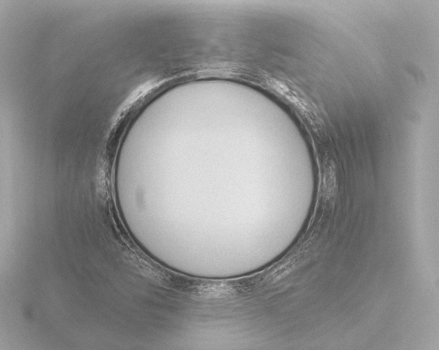 X0000116391454200912231100