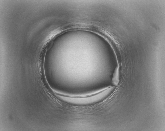 X0000116391455200912231100