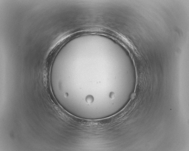 X0000116391456200912231100