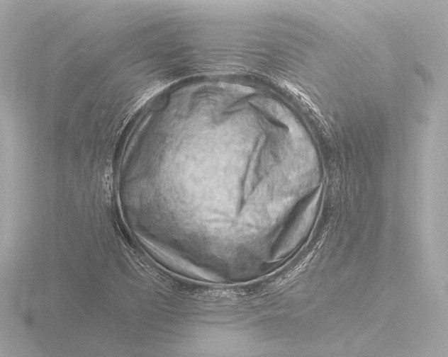 X0000116391457200912231100