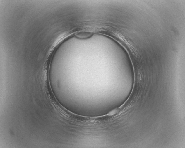 X0000116391459200912231100