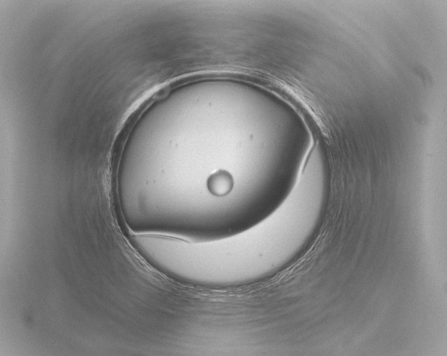 X0000116391460200912231100