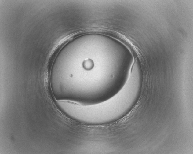 X0000116391461200912231100