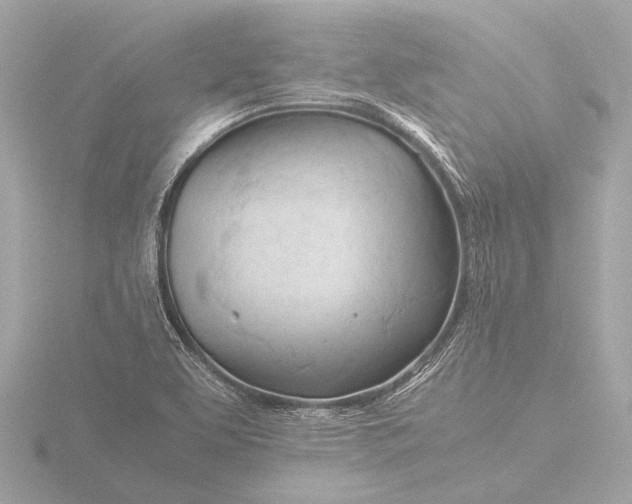 X0000116391463200912231100