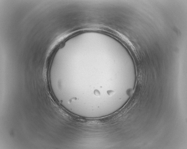 X0000116391464200912231100