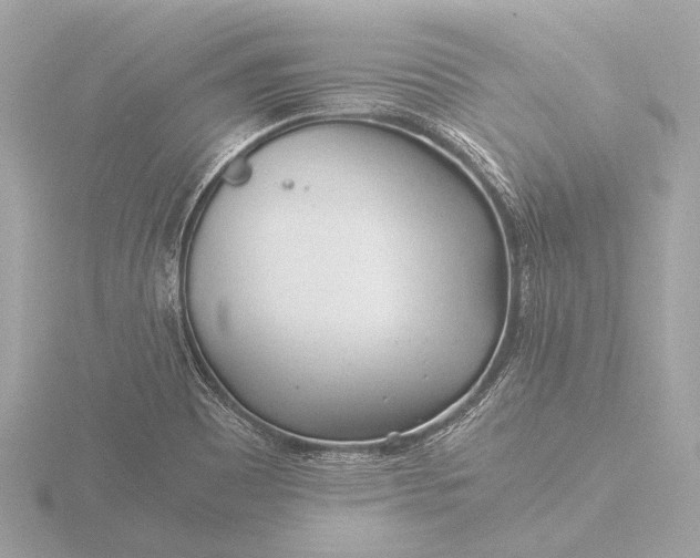 X0000116391465200912231100