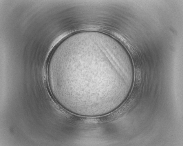 X0000116391466200912231100