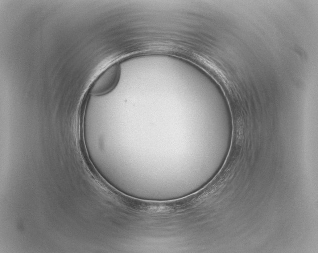 X0000116391467200912231100