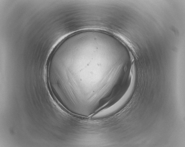 X0000116391468200912231100