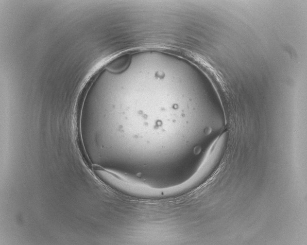 X0000116391469200912231100