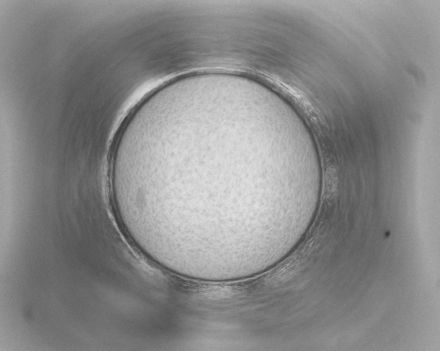 X0000116391470200912231100