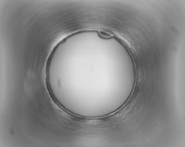 X0000116391471200912231100