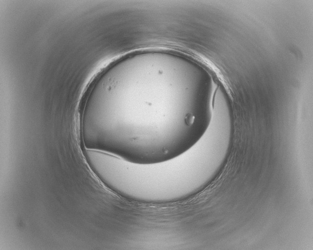 X0000116391472200912231100