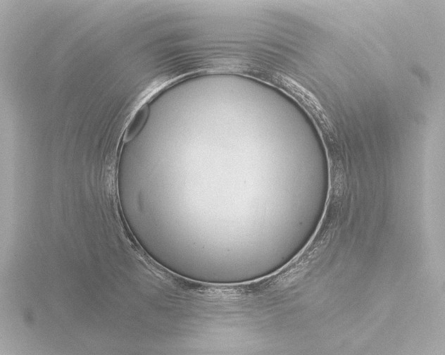 X0000116391473200912231100