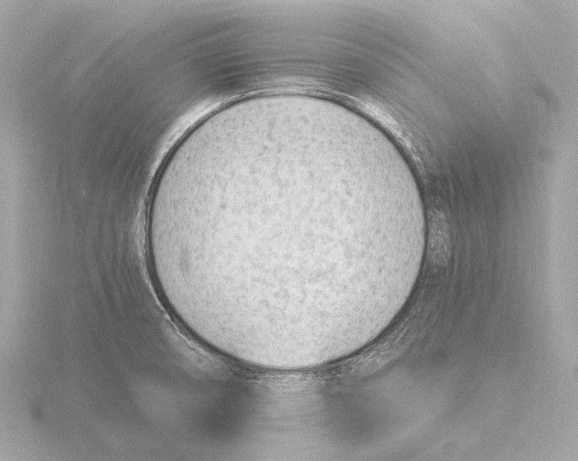 X0000116391474200912231100