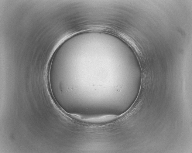 X0000116391475200912231100