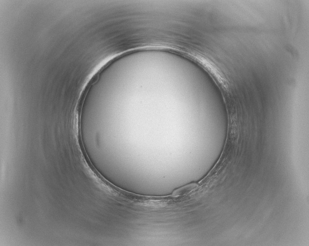 X0000116391476200912231100