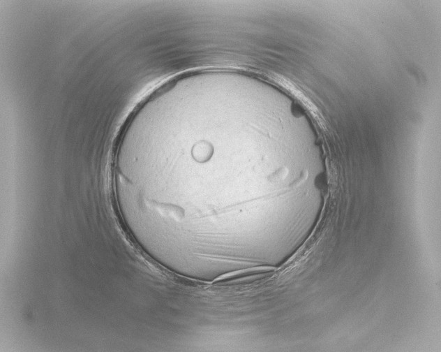 X0000116391477200912231100