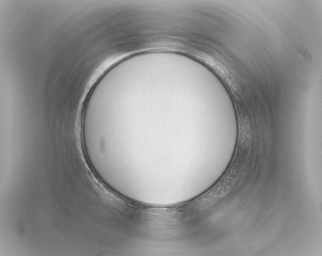 X0000116391478200912231100