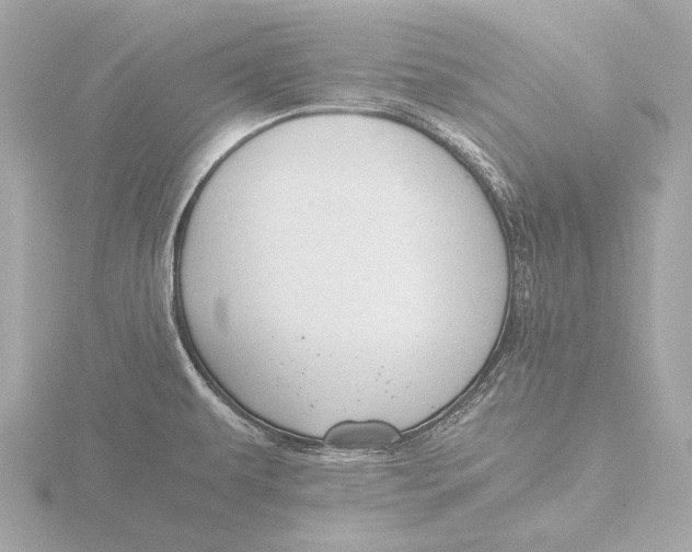 X0000116391479200912231100