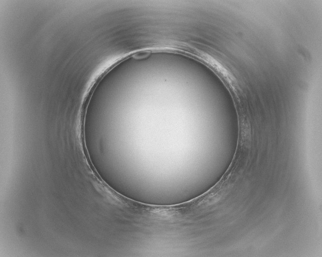 X0000116391480200912231100