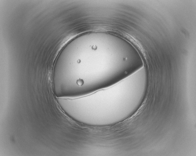 X0000116391481200912231100