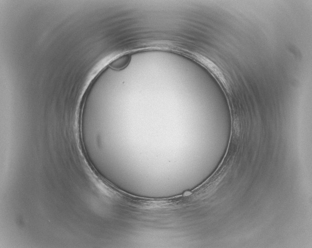 X0000116391482200912231100