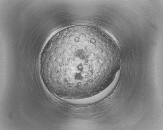 X0000116391483200912231059