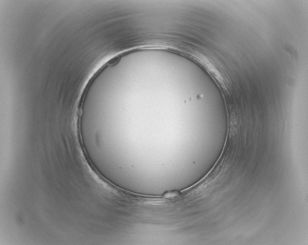 X0000116391484200912231059