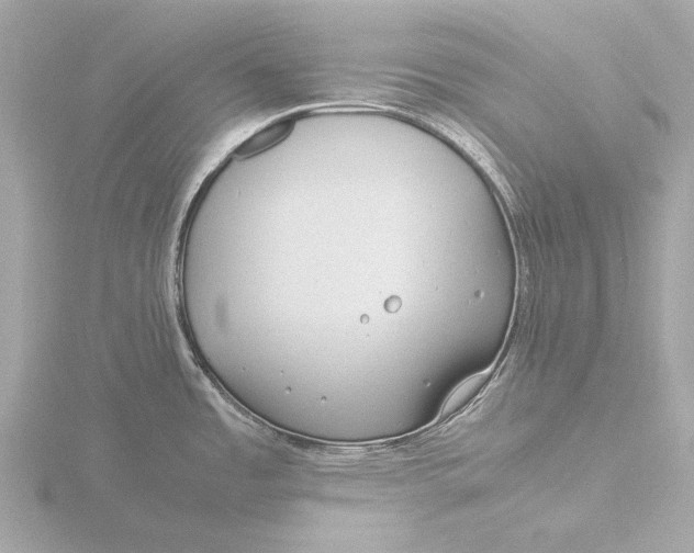 X0000116391485200912231059