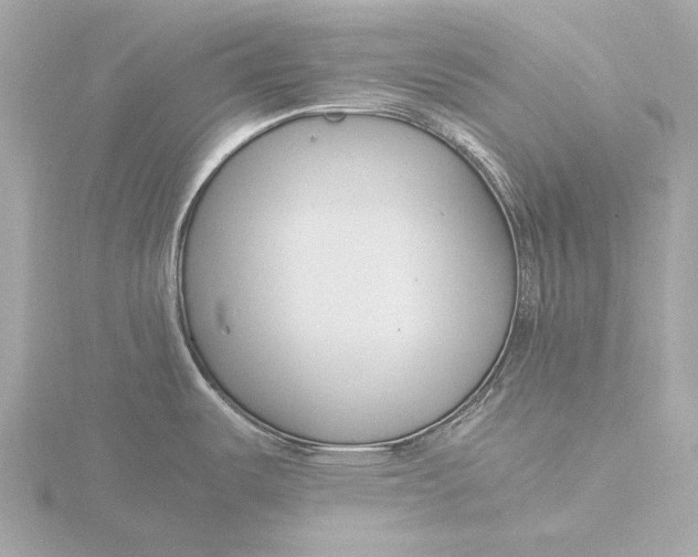 X0000116391487200912231059