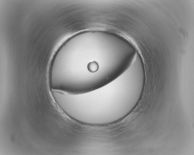 X0000116391488200912231059