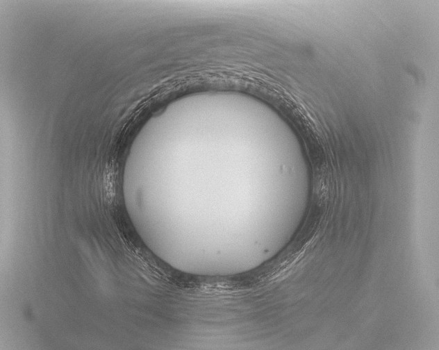 X0000116391490200912231059