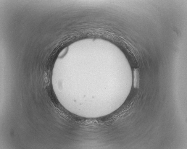 X0000116391491200912231059