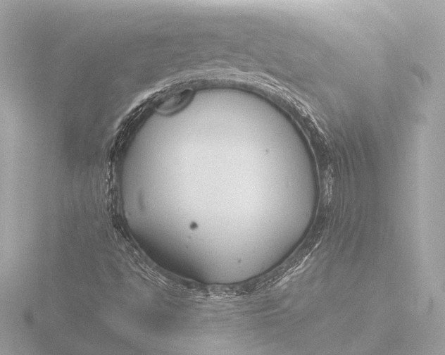 X0000116391494200912231059