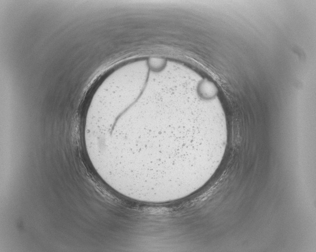 X0000116391498200912231059