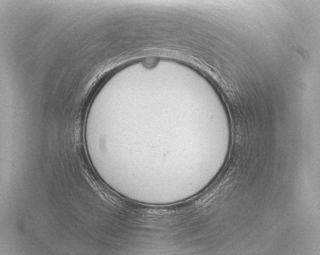 X0000116391499200912231059